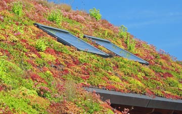 Kirton End living roof systems
